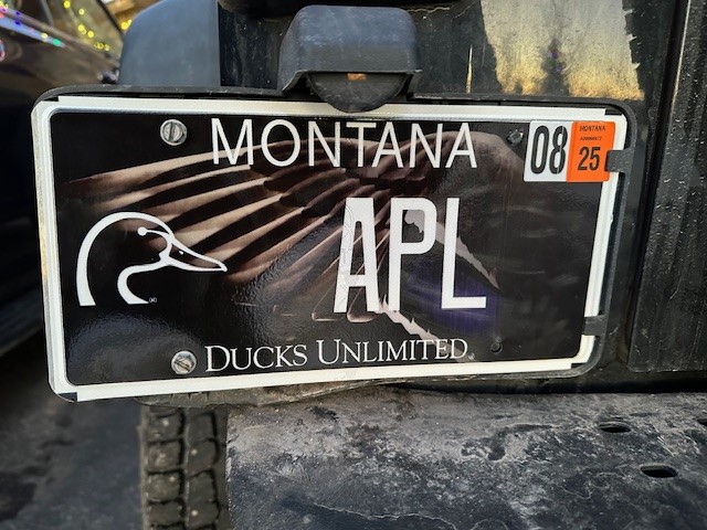 APL License Plate